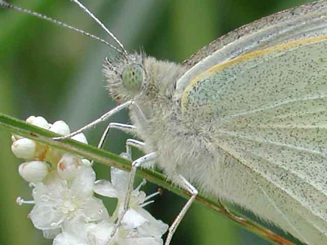 010811_143512-01 100% crop